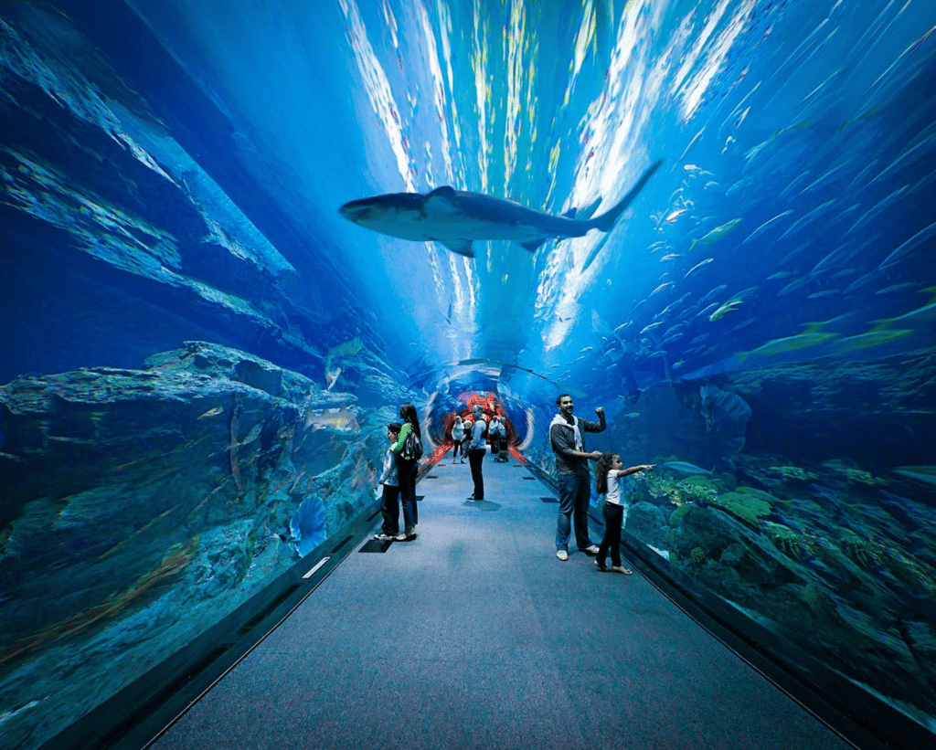 Dubai Aquarium & Underwater Zoo