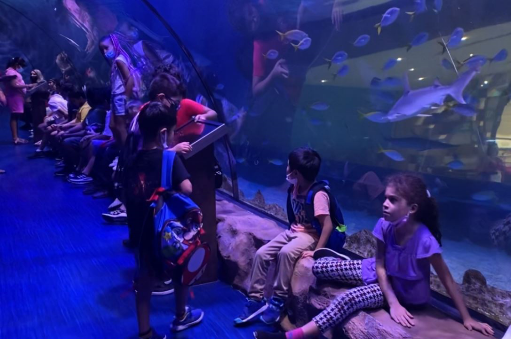 The Dubai Mall Summer Camp attracts children to entertainment and adventure